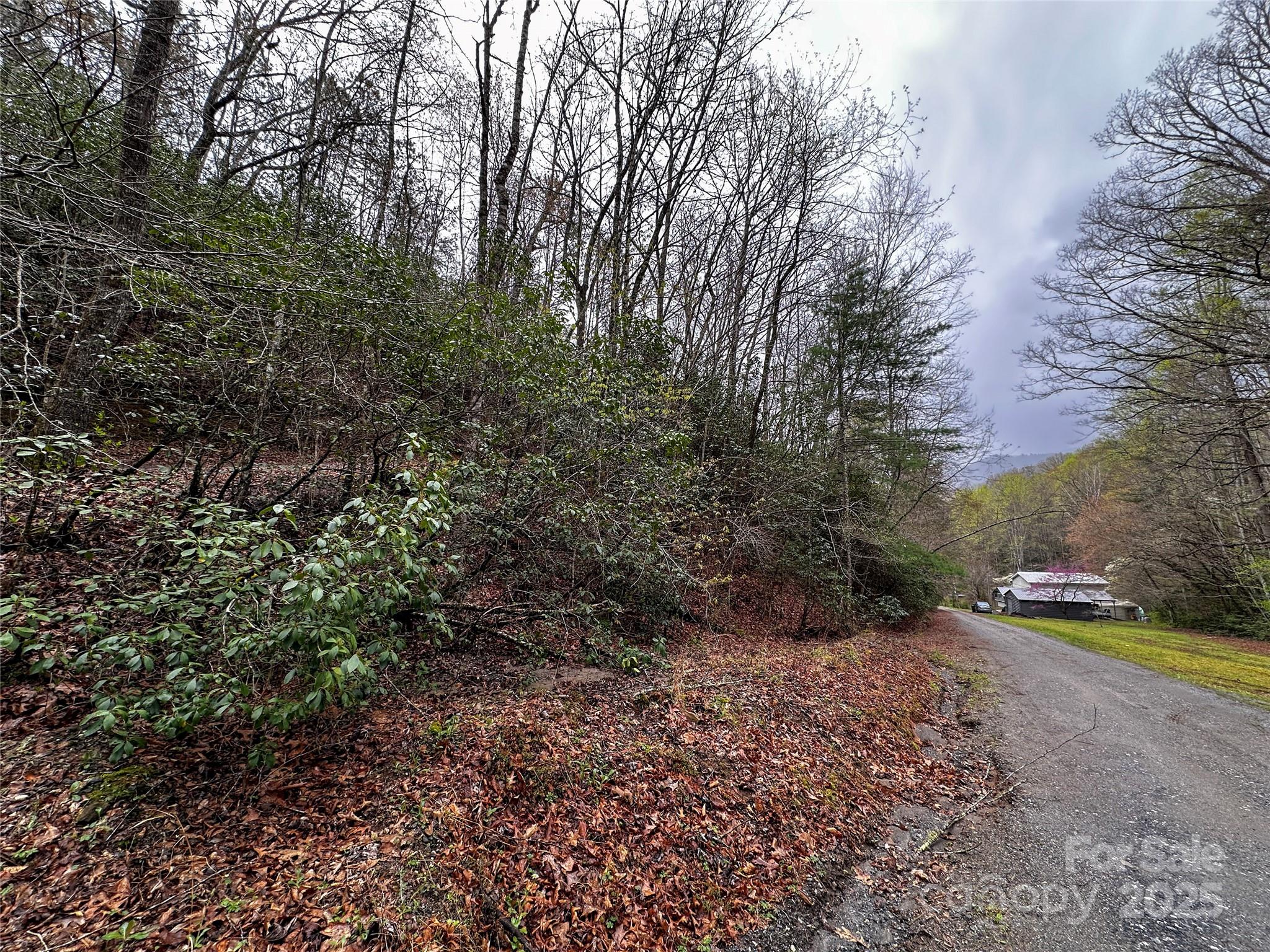 Lot 3 Tara Hills Road Whittier, NC 28789 - Photo 6 of 13