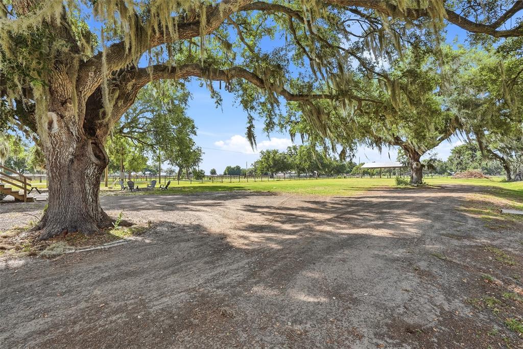 3416 Porter Road Lithia, FL 33547 - Photo 30 of 47