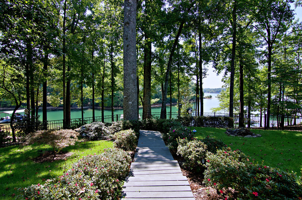 11001 Lake Ridge Lane Seneca, SC 29672 - Photo 42 of 50 Lush landscaping and a path lead down toward the scenic lakefront.