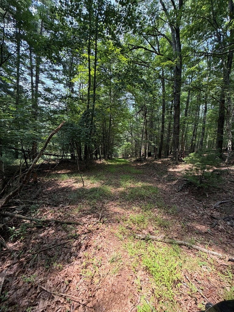 Tbd Hall Hollow Road Austinville, VA 24312 - Photo 20 of 59 Gallery Image 20