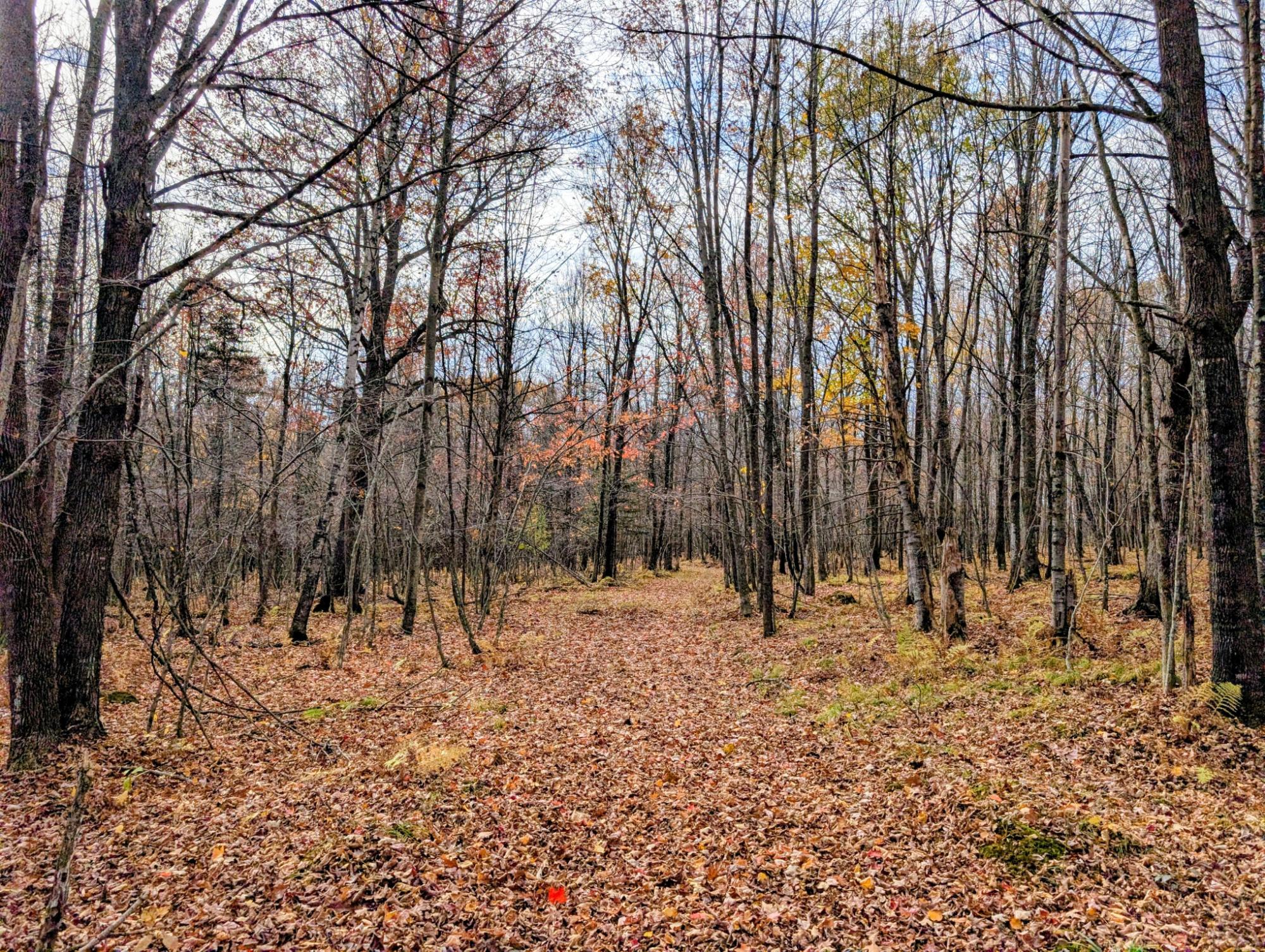 20 West School Road Glen Flora, WI 54526 - Photo 6 of 14 Gallery Image 6