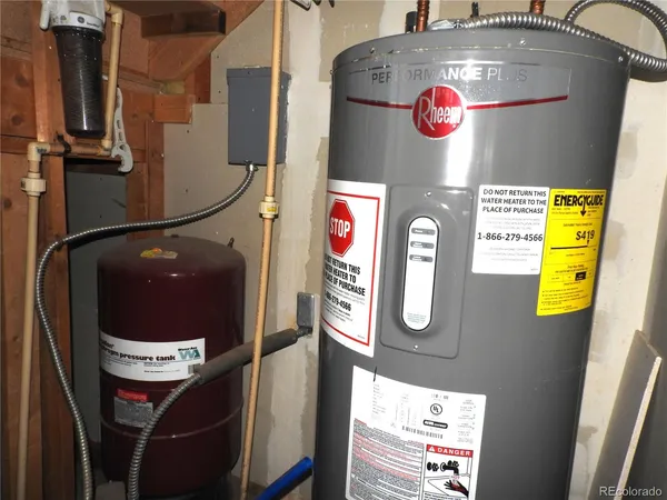 a view of a forest with a tree in the background