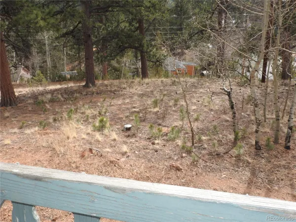 a view of dirt yard with trees