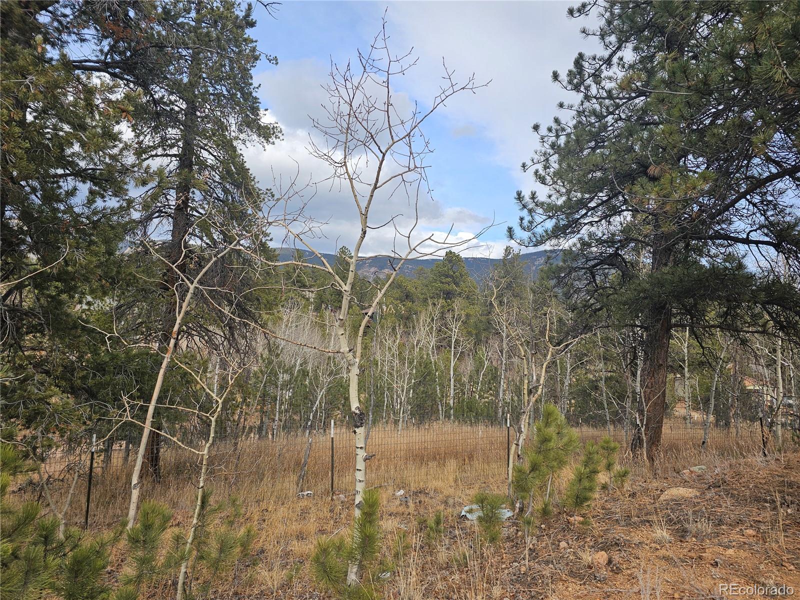 426 Houston Street Bailey, CO 80421 - Photo 5 of 5