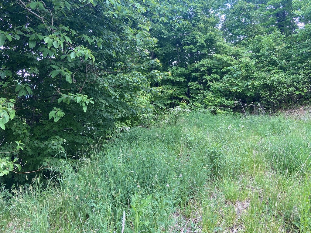 Tbd Arwood Hollow Road, Unit 46 Rowe, VA 24646 - Photo 28 of 30 Gallery Image 28