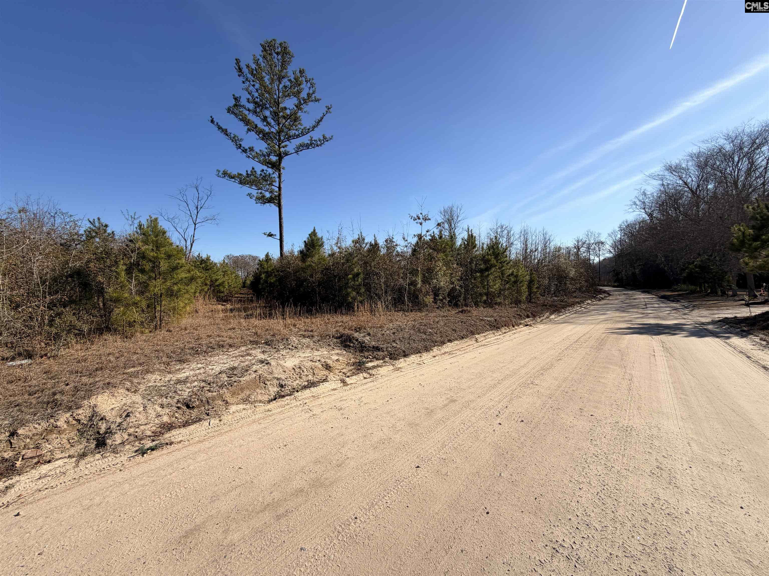 0 Proctor Road Cope, SC 29038 - Photo 10 of 11