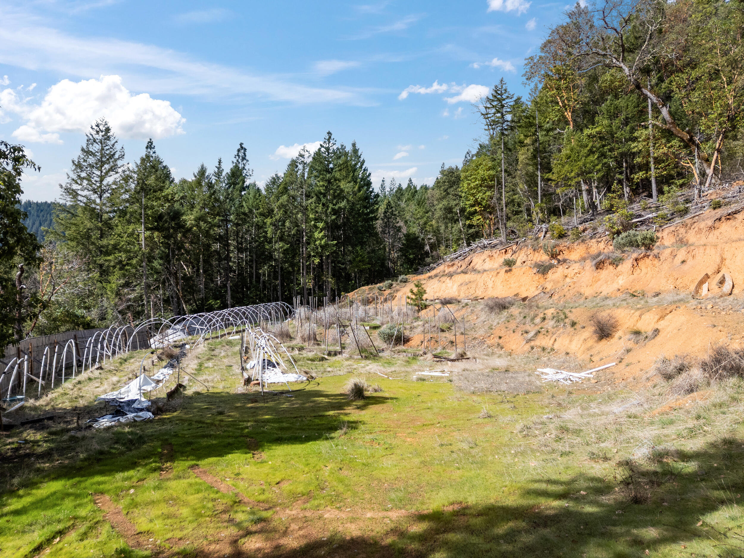1324 Terrace Heights Road Selma, OR 97538 - Photo 9 of 23 4_1324 terrace heights rd, selma, or 975