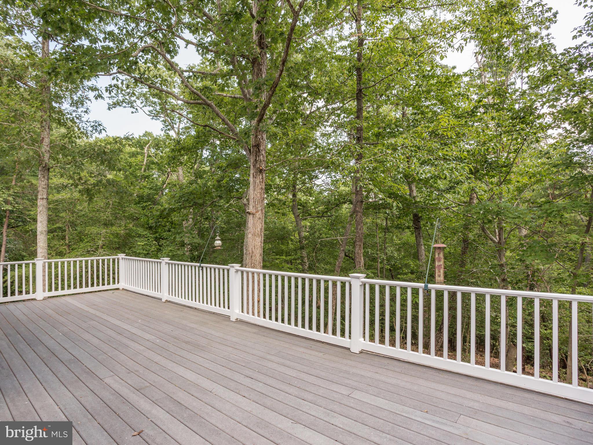41161 Knight Road Leonardtown, MD 20650 - Photo 101 of 109 Great Deck for Entertaining