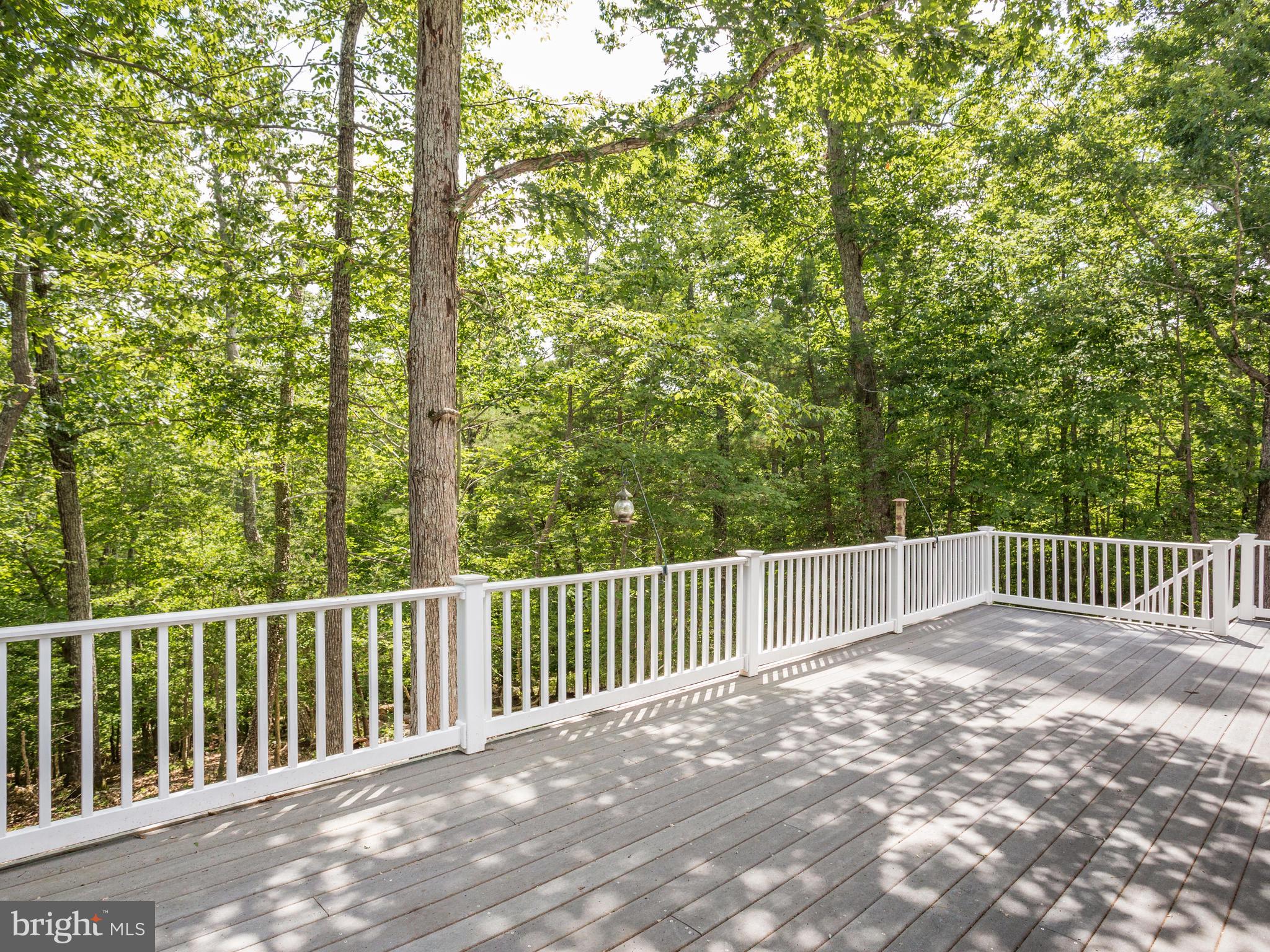 41161 Knight Road Leonardtown, MD 20650 - Photo 104 of 109 Gallery Image 104