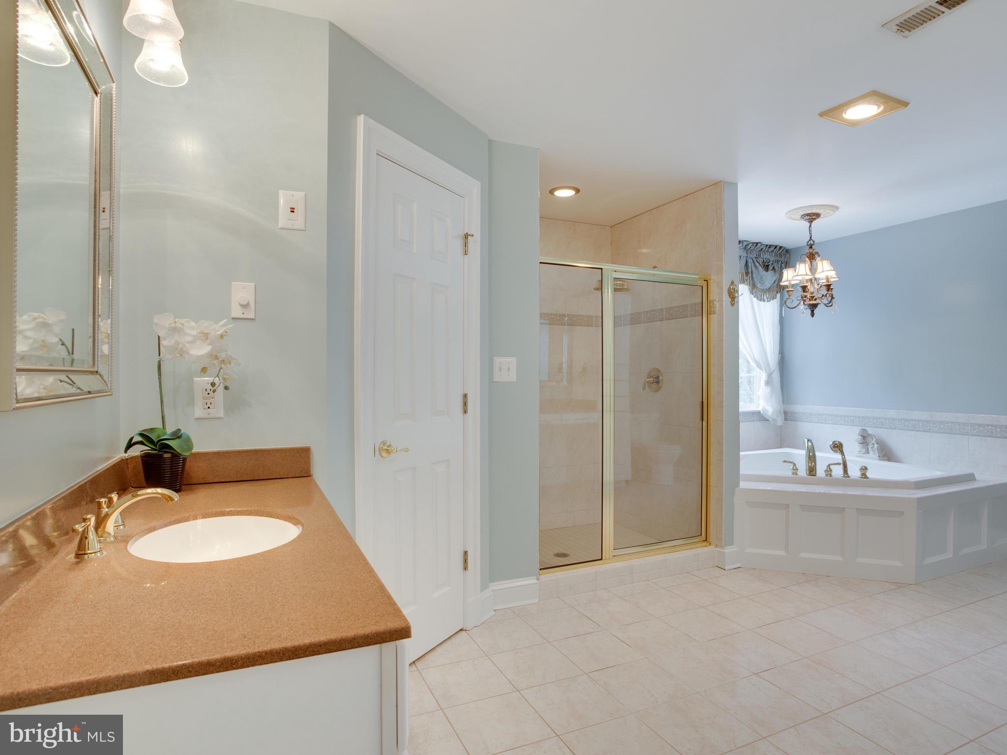 41161 Knight Road Leonardtown, MD 20650 - Photo 70 of 109 Luxurious Master Bath