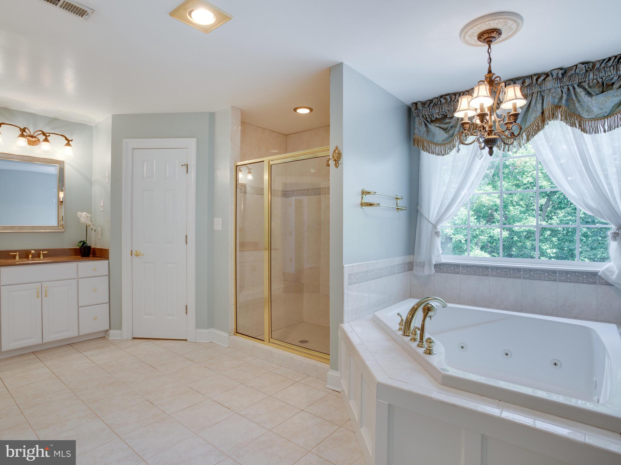 41161 Knight Road Leonardtown, MD 20650 - Photo 72 of 109 Tile Shower w/Rain Head & Bench