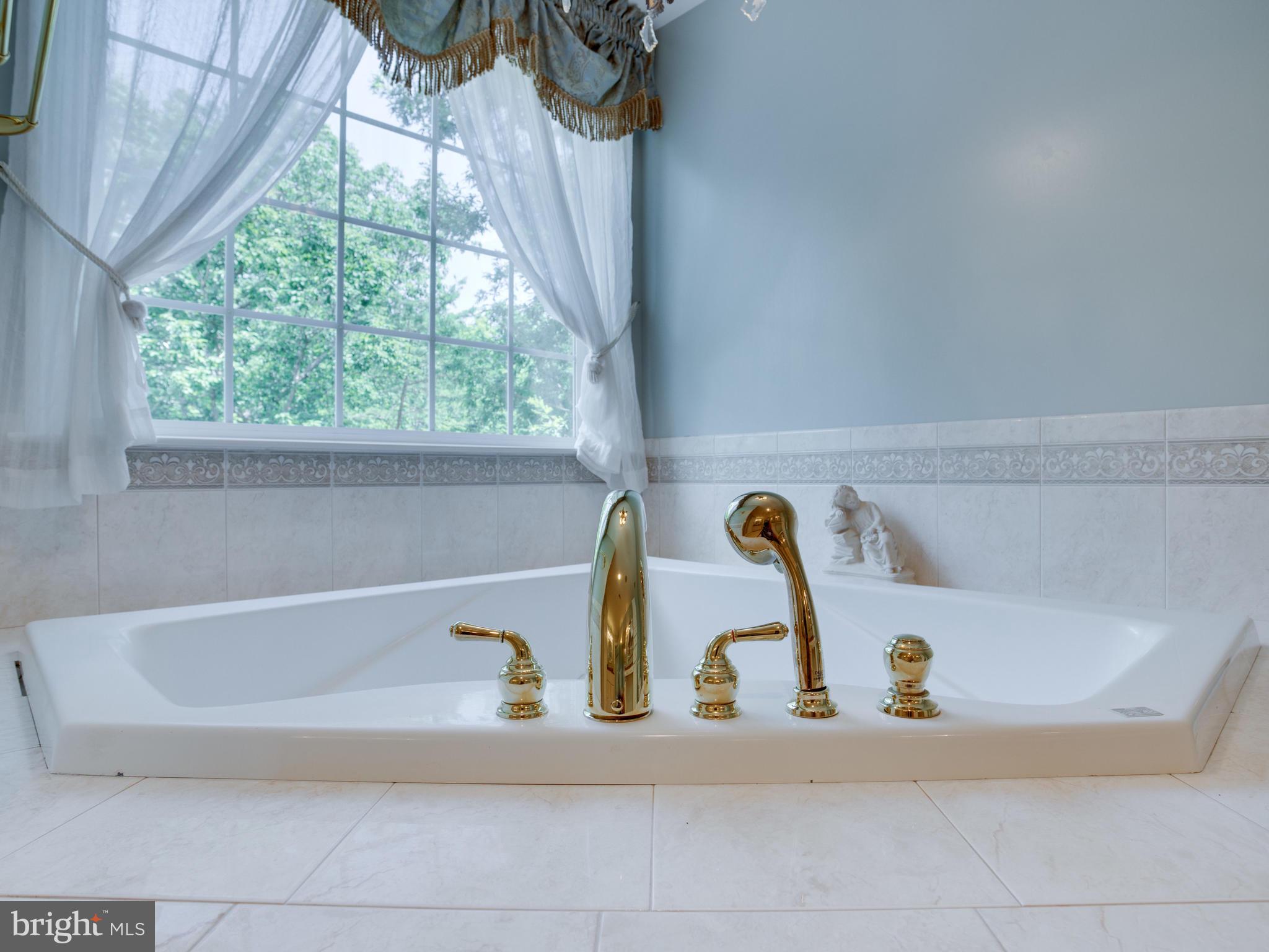 41161 Knight Road Leonardtown, MD 20650 - Photo 73 of 109 Jetted Soaking Tub