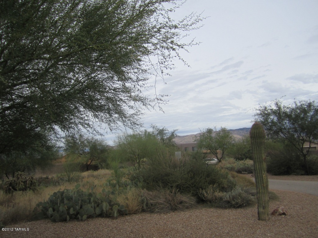 9357 South Via Bandera Vail, AZ 85641 - Photo 32 of 41