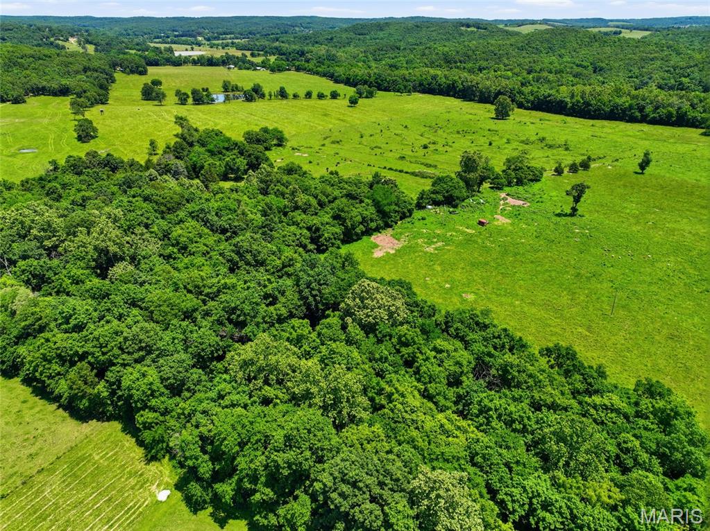 0 Pleasant Hill Road Mountain Grove, MO 65711 - Photo 12 of 51
