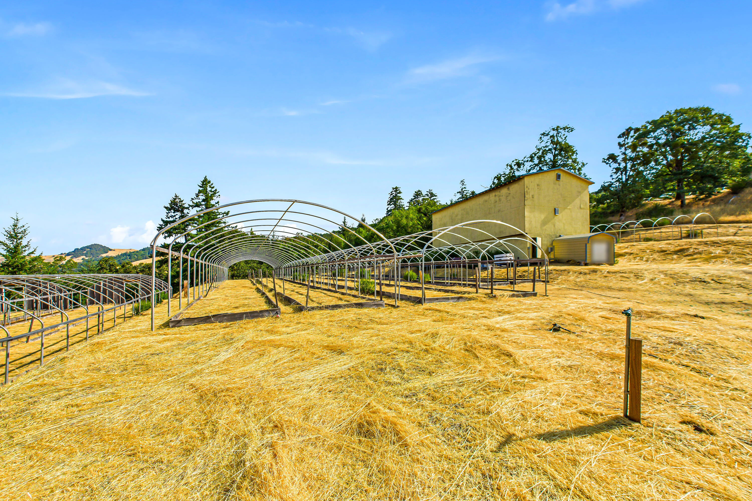 26092 Dyerville Loop Road Garberville, CA 95542 - Photo 72 of 74