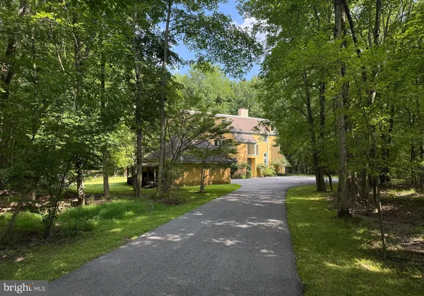 a view of a park with large trees