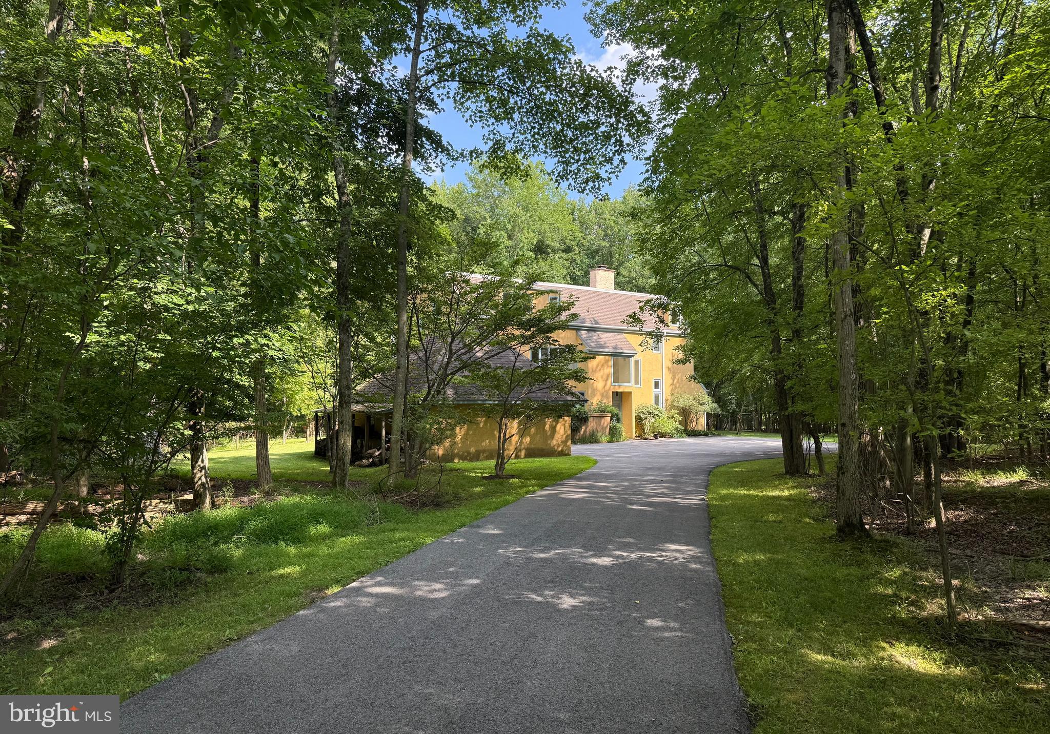 a view of a park with large trees