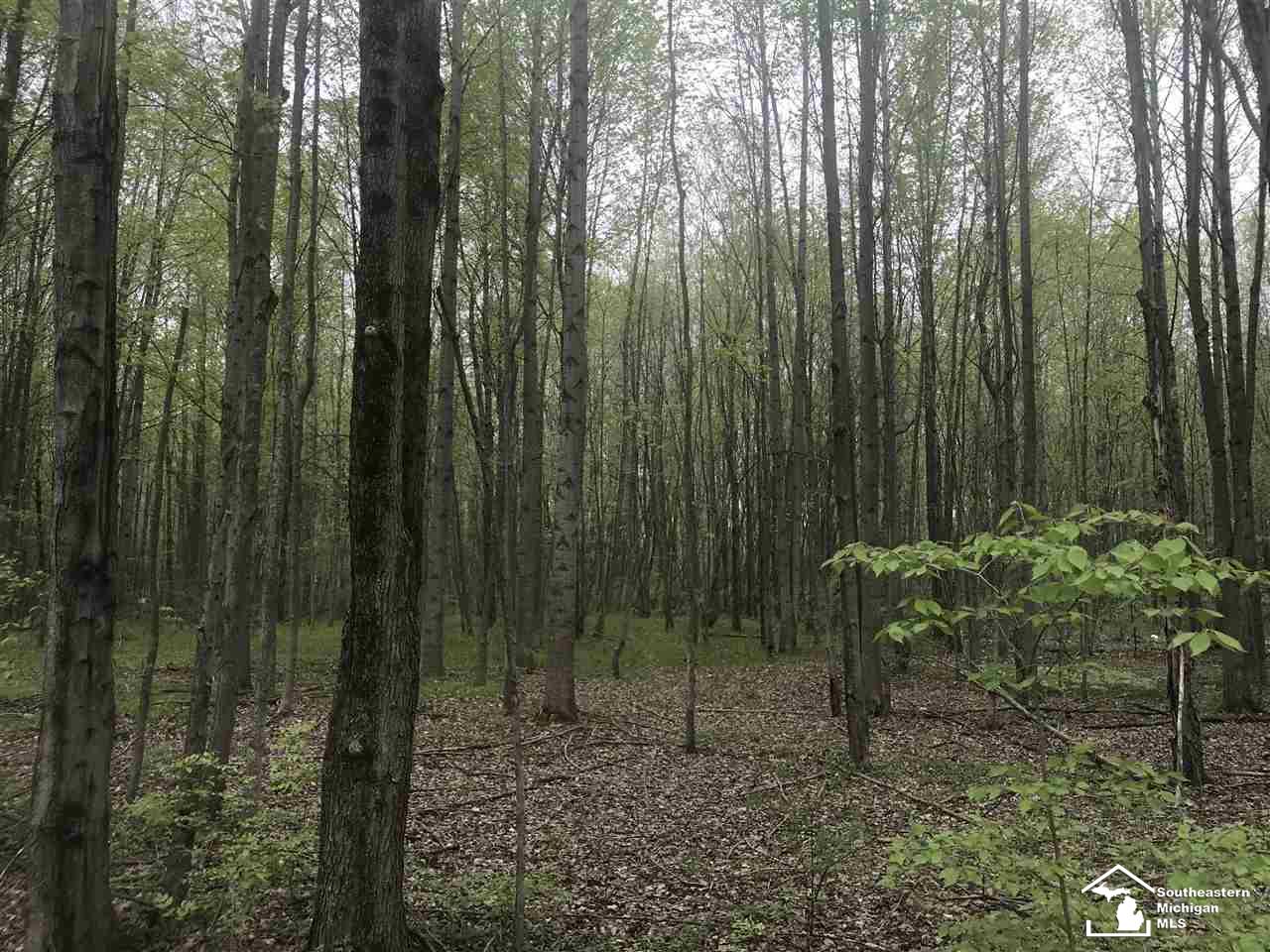 0 Bunton Road Milan, MI 48160 - Photo 12 of 22
