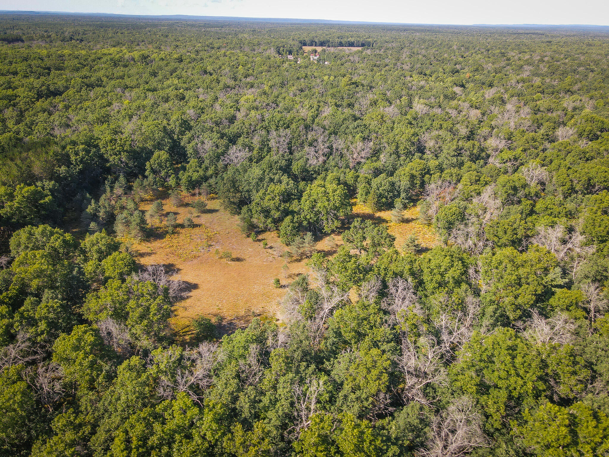 10 West Mile Road Irons, MI 49644 - Photo 6 of 42 DJI_0118
