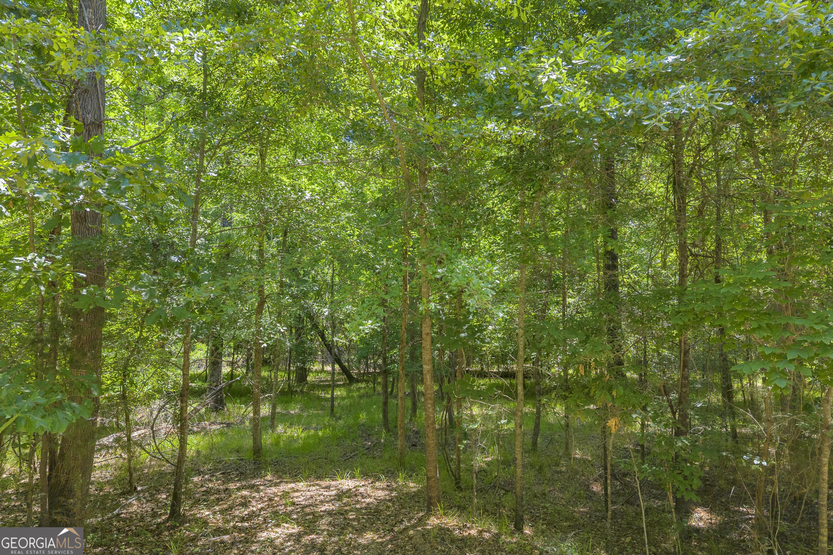 0 Hidden Harbor Road Lincolnton, GA 30817 - Photo 12 of 58