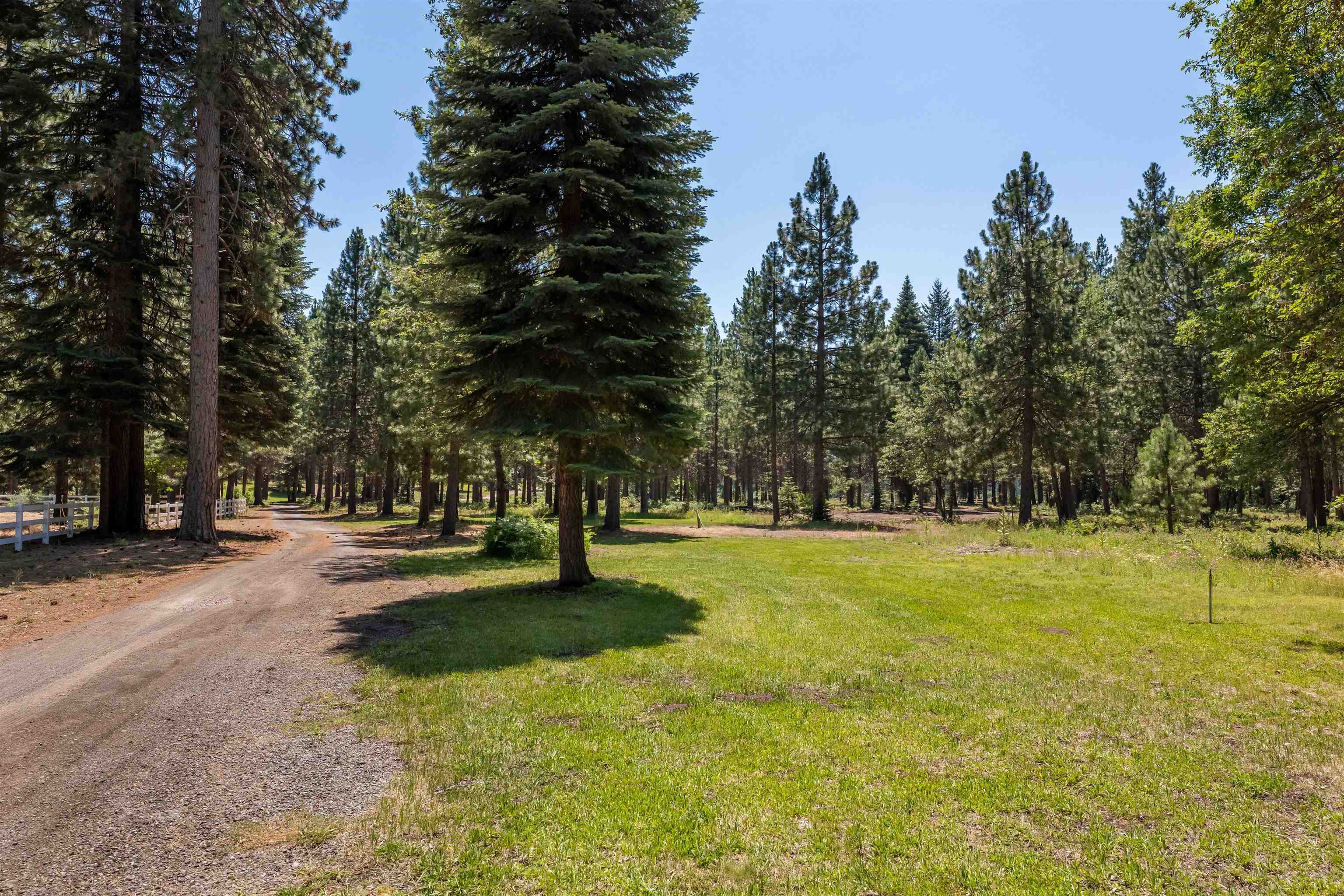 Lot B Red Cloud Rnch Road McCloud, CA 96057 - Photo 4 of 18 Gallery Image 4