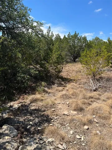 a view of a dry yard with trees in the background