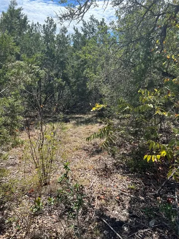 $25,000 | 20700 Overland Trail, Lago Vista, TX 78645