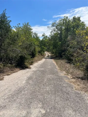 a view of a dirt road with trees in the background