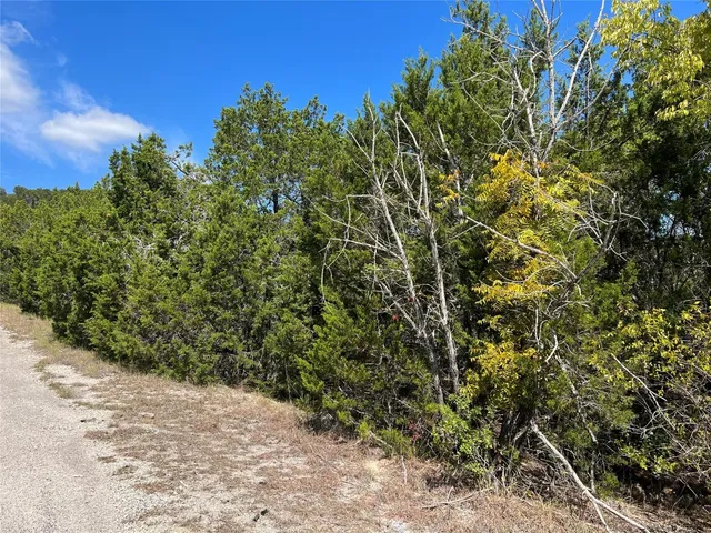 a view of a yard with plants and trees