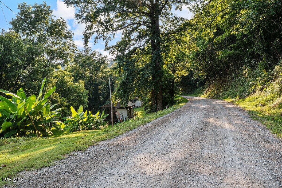 Lot 6 Anglers Way Road Duffield, VA 24244 - Photo 12 of 23 DJI_0123