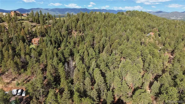 a view of a city with lush green forest