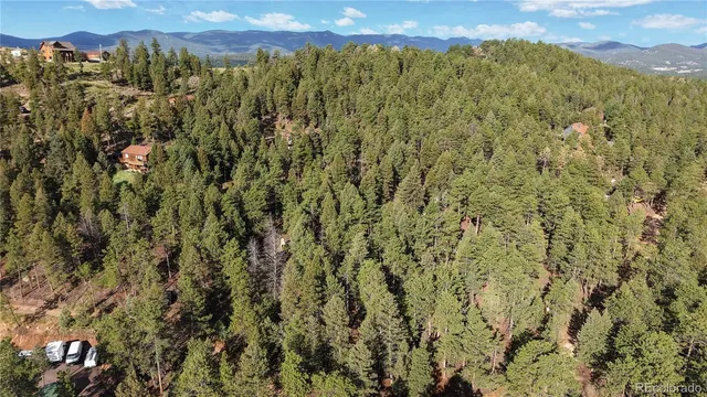 a view of a city with lush green forest