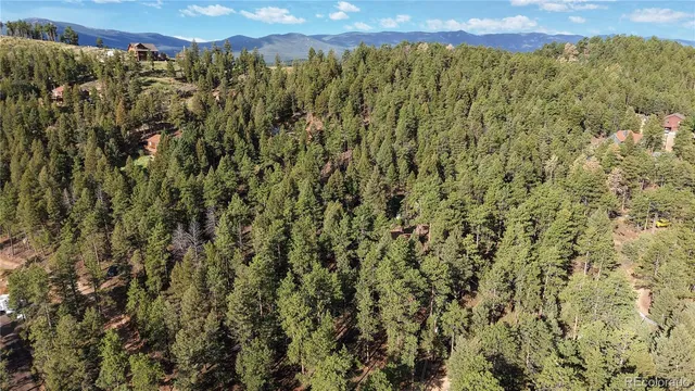 a view of a city with lush green forest