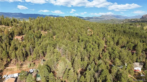 a view of a bunch of trees