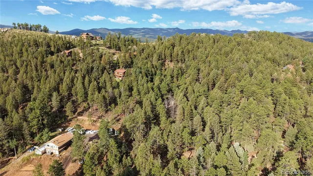 a view of a bunch of trees