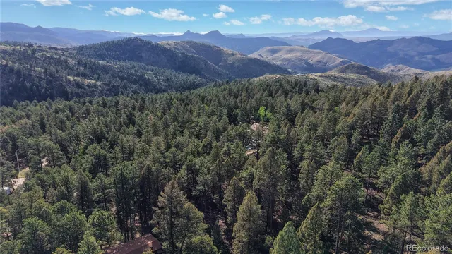 a view of a lush green hillside and a mountain