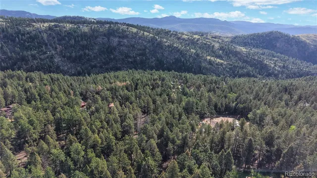 a view of a forest with a mountain