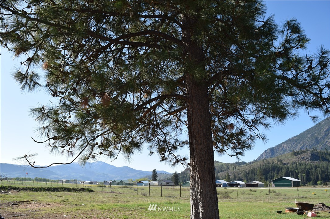 14 Ayers Road Twisp, WA 98856 - Photo 5 of 7