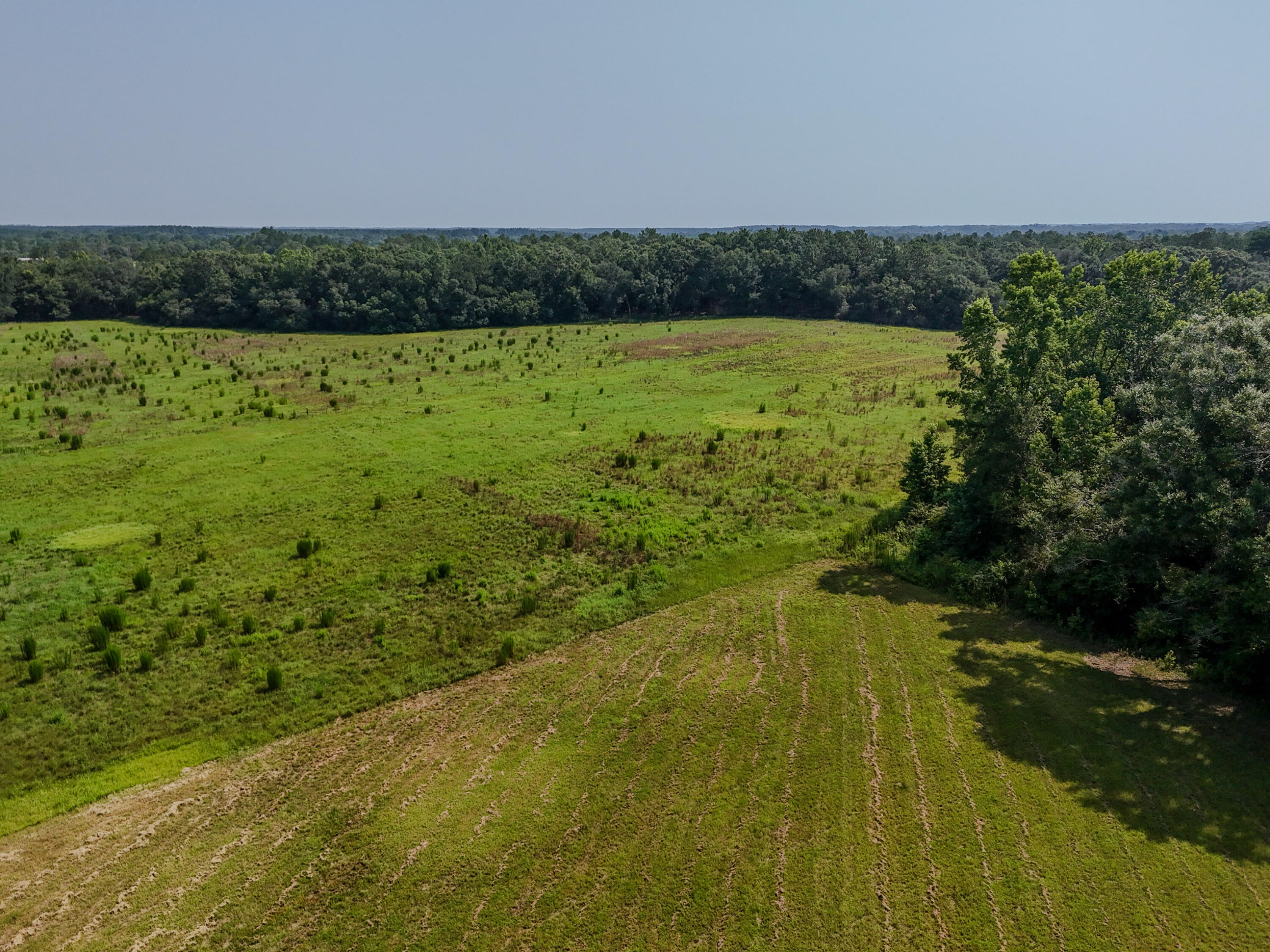 3128 County Road 10 Samson, AL 36477 - Photo 59 of 67 DJI_20260630231245_0030_D
