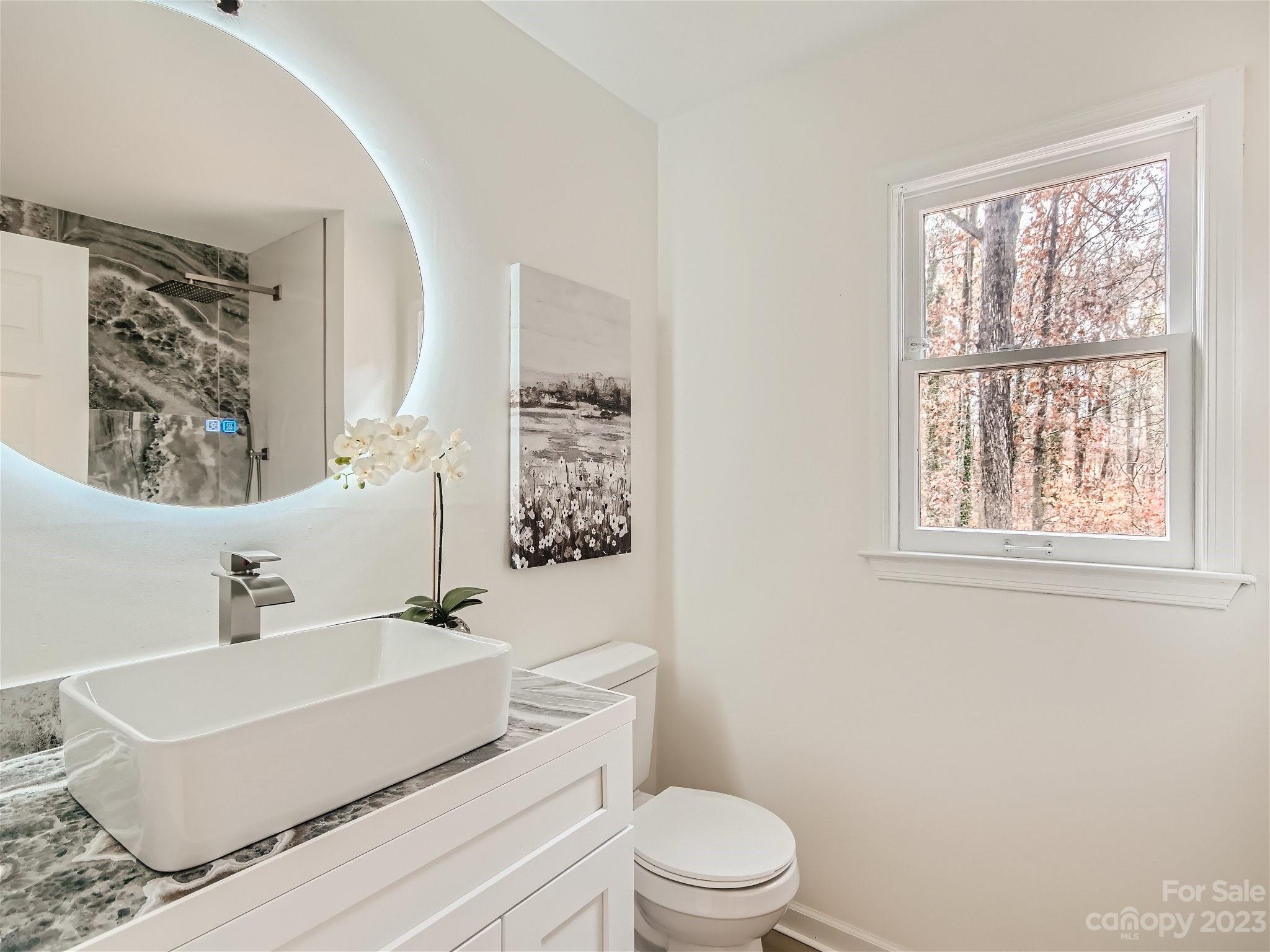7201 Leaves Lane Charlotte, NC 28213 - Photo 15 of 29 a bathroom with a sink a toilet and a window
