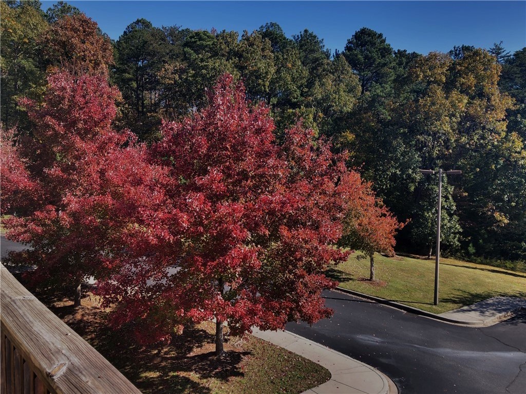 725 Lookover Drive Anderson, SC 29621 - Photo 28 of 29
