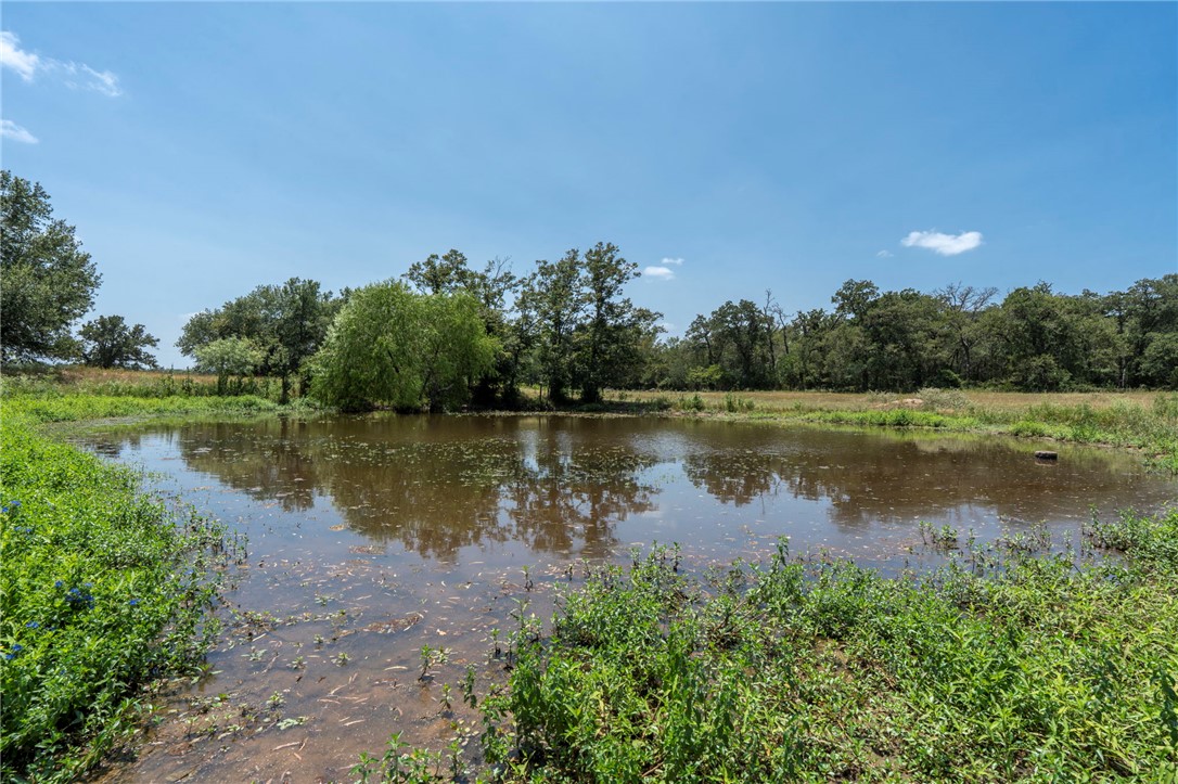 Tbd Templeton Road Hearne, TX 77859 - Photo 5 of 19 Gallery Image 5