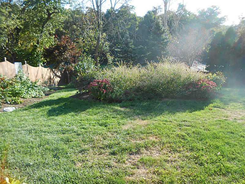 316 Patterson Road Bethel Park, PA 15102 - Photo 14 of 14 Yard/Garden.