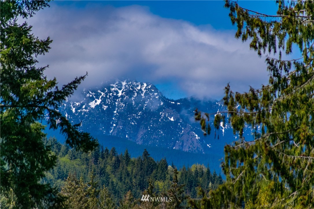 1653 Township Line Road Port Angeles, WA 98362 - Photo 1 of 25