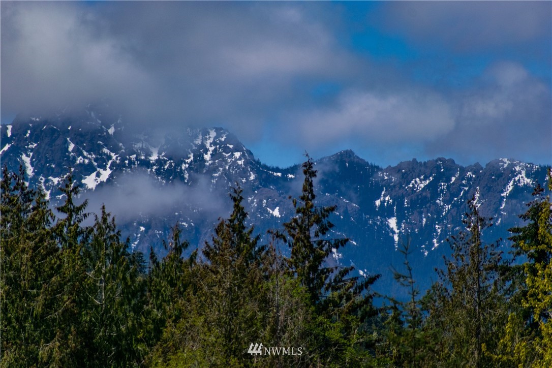 1653 Township Line Road Port Angeles, WA 98362 - Photo 25 of 25