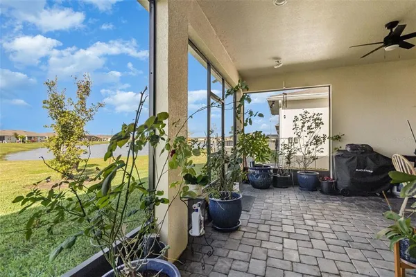 a view of a porch with potted plants