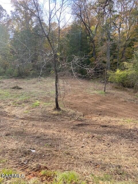 1 County Road 675 Riceville, TN 37370 - Photo 6 of 6 Gallery Image 6