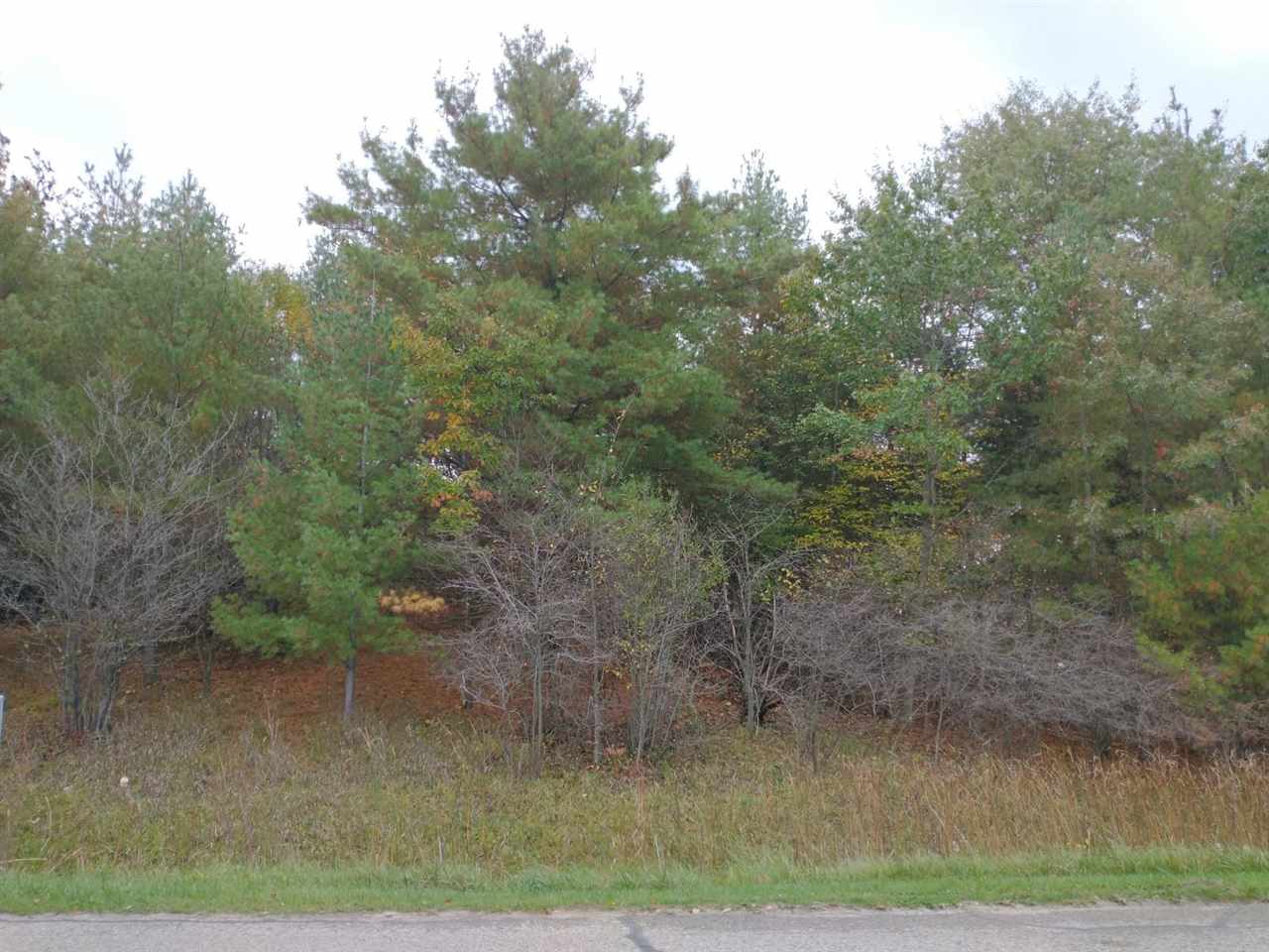 Lot 263 Islanders Way Gladwin, MI 48624 - Photo 1 of 14