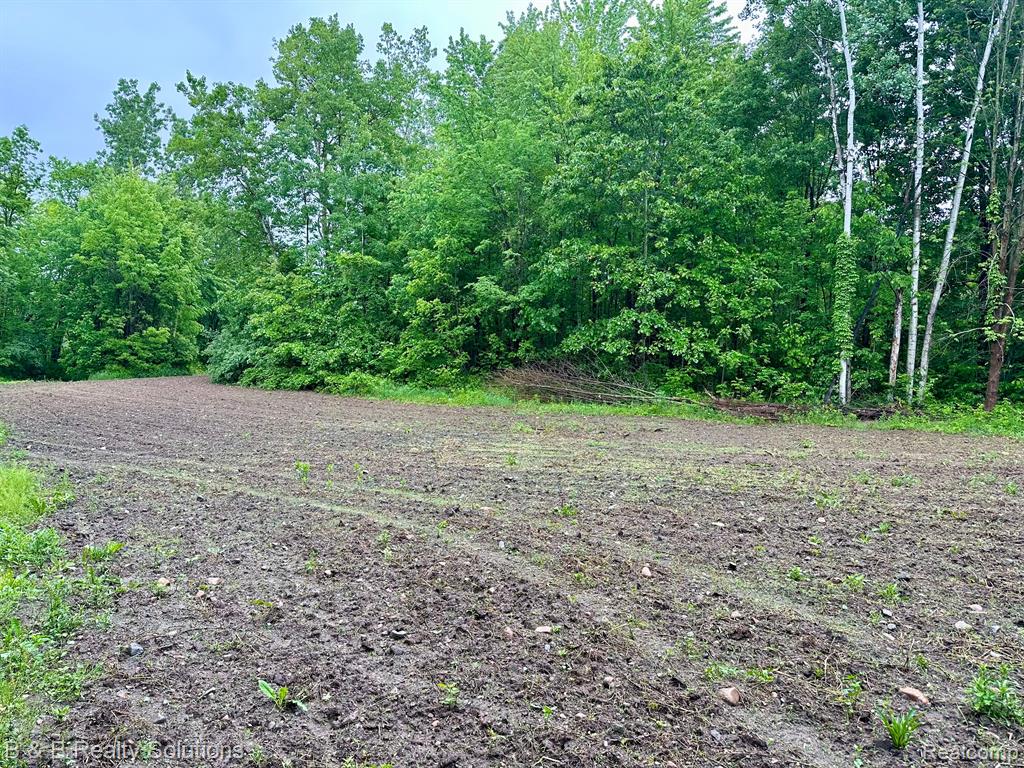 0 South Lake Pleasant Road Metamora, MI 48455 - Photo 24 of 32