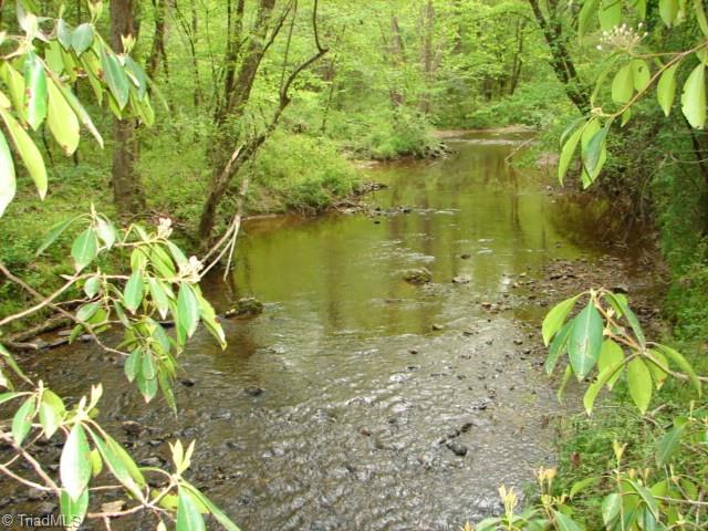 0 Dan Road Robbins, NC 27325 - Photo 1 of 50